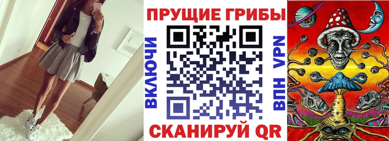 закладка  Нальчик  Галлюциногенные грибы ЛСД 