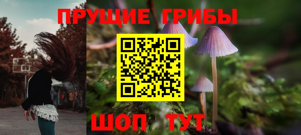 Галлюциногенные грибы GOLDEN TEACHER  как найти   Нальчик  Вход с VPN 