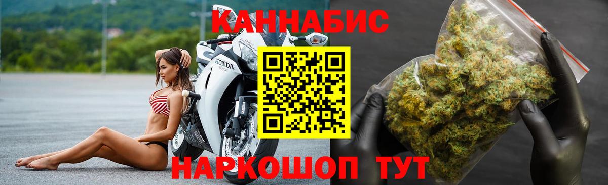 Каннабис сатива Нальчик